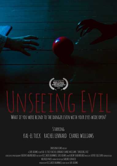 Unseeing Evil Poster