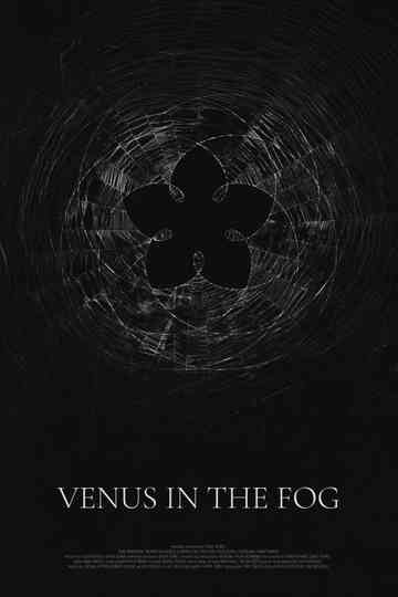 Venus in the Fog