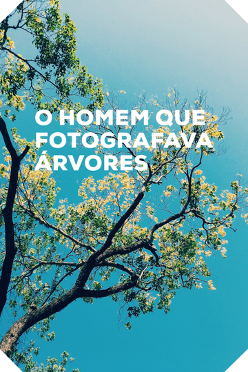 O Homem que Fotografava Árvores Poster