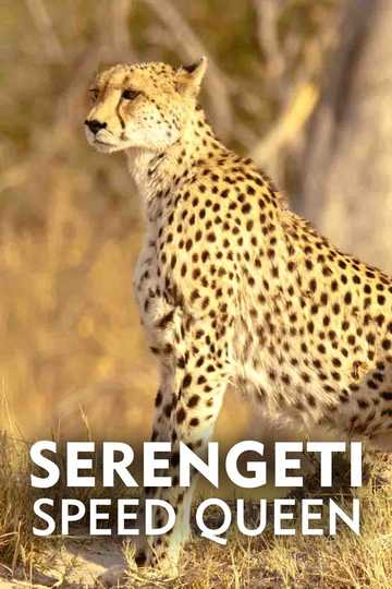 Serengeti Speed Queen