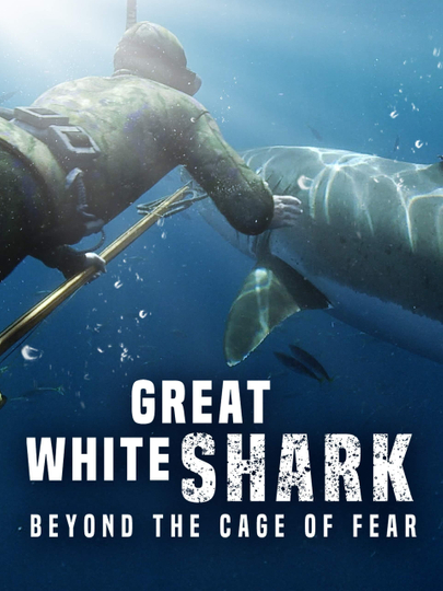 Great White Shark Beyond the Cage of Fear