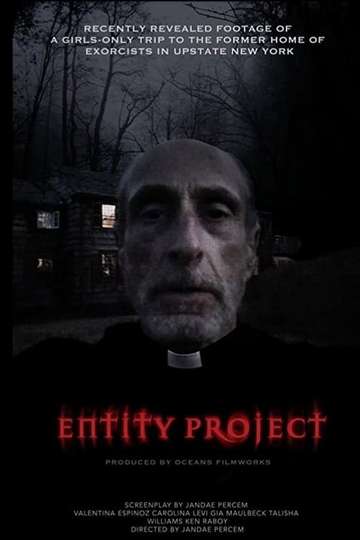 Entity Project Poster