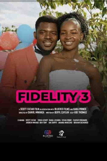 Fidelity 3