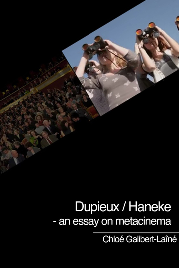 Dupieux  Haneke  an essay on metacinema