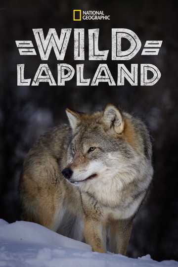 Wild Lapland Poster