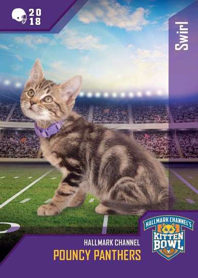 Kitten Bowl VIII Special Poster