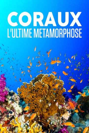 Coraux, l'ultime métamorphose