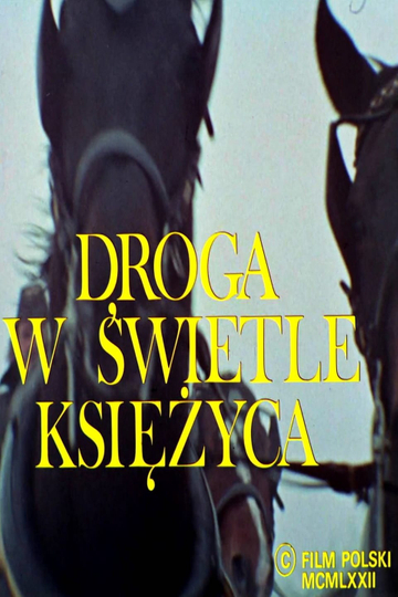 Droga w świetle księżyca