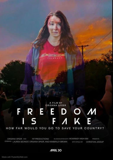 Freedom Is Fake Poster