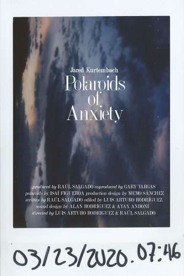 Polaroids of Anxiety Poster