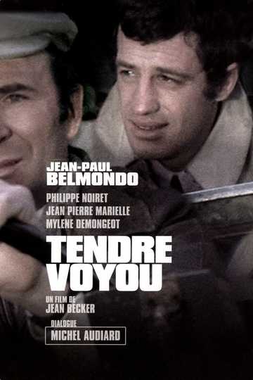 Tender Scoundrel Poster