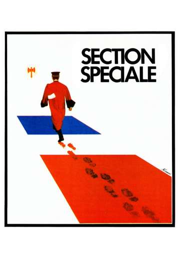 Special Section Poster
