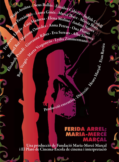 Ferida arrel MariaMercè Marçal Poster