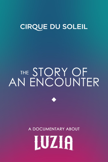 The Story Of An Encounter