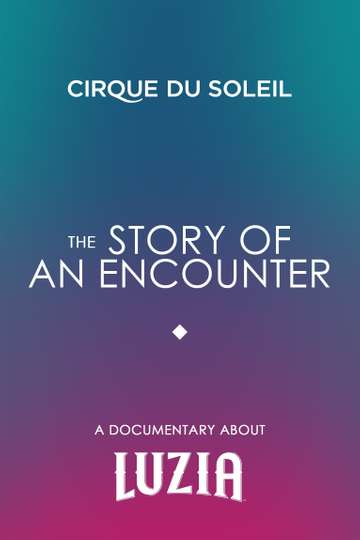 The Story Of An Encounter Poster