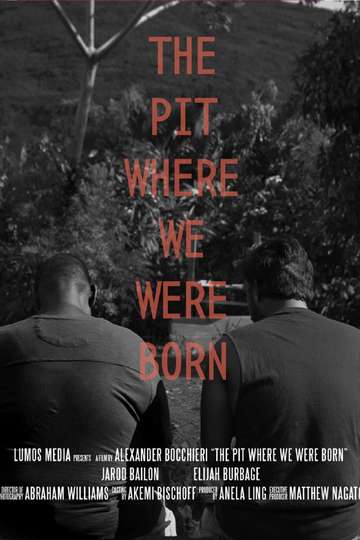 The Pit Where We Were Born Poster