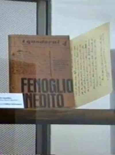 Una questione privata. Vita di Beppe Fenoglio poster