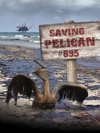 Saving Pelican 895 Poster
