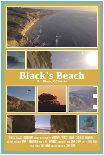 Blacks Beach San Diego CA