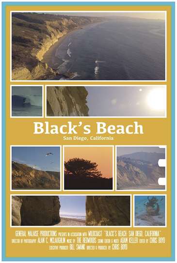 Blacks Beach San Diego CA Poster