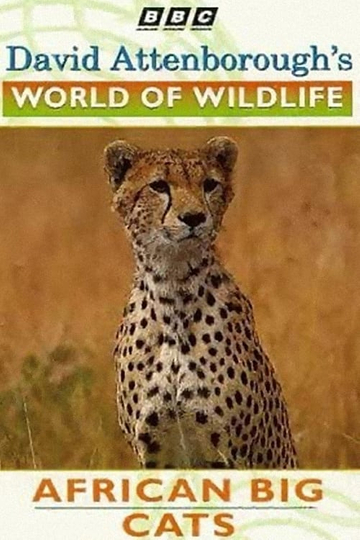 World of Wildlife African Big Cats