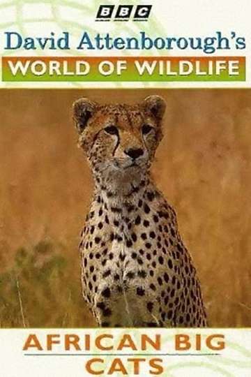 World of Wildlife African Big Cats