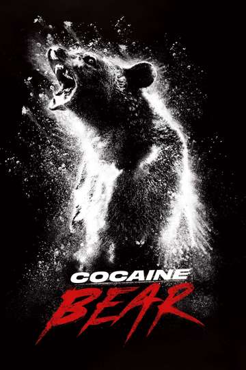 Poster di orso di cocaina