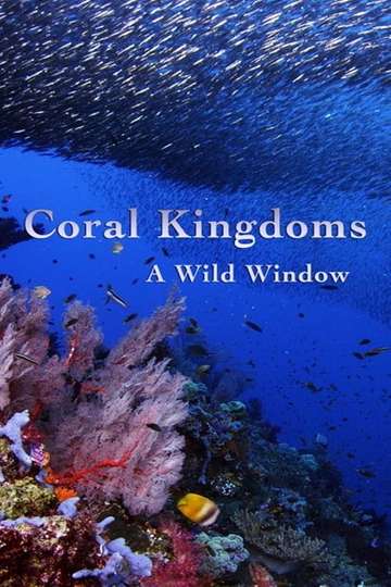 A Wild Window Coral Kingdoms