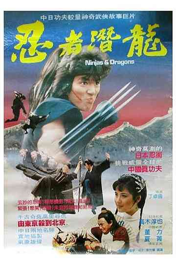 Ninjas and Dragons