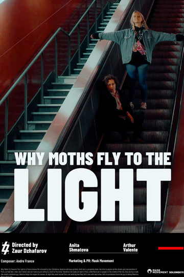 Why Moths Fly to the Light Poster