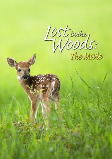 Lost in the Woods: The Movie