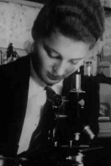 Comprehensive School Poster