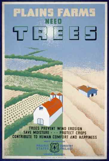 Windbreaks on the Prairies