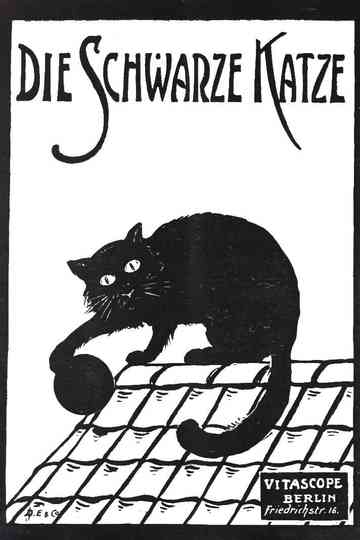 Die schwarze Katze 1 Teil