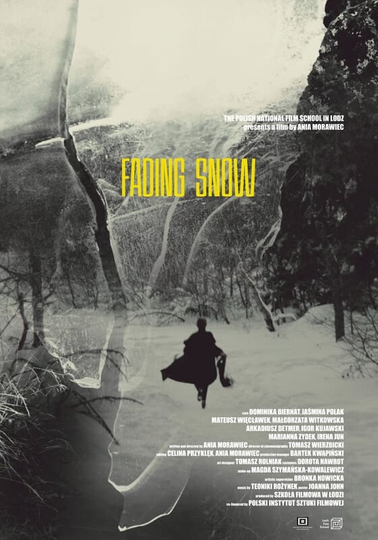 Fading Snow Poster