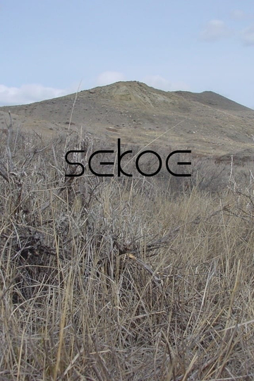 Sekoe My Home Poster