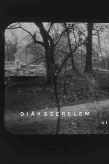 Diákszerelem Poster