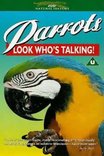 Parrots Look Whos Talking