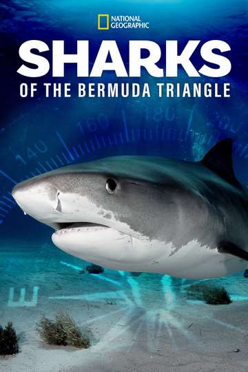 Sharks of the Bermuda Triangle Poster