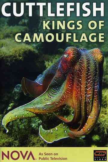 Cuttlefish Kings of Camouflage