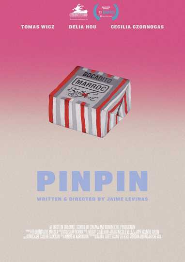 PINPIN Poster