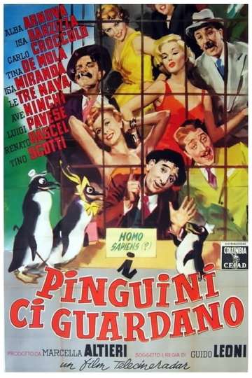 I pinguini ci guardano Poster