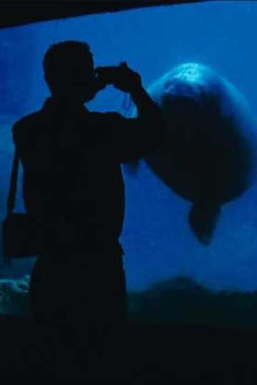 The Aquarium Poster