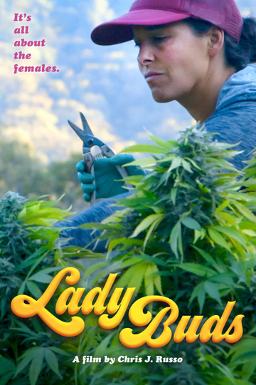 Lady Buds Poster