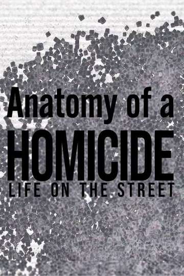 Anatomy of a Homicide Life on the Street
