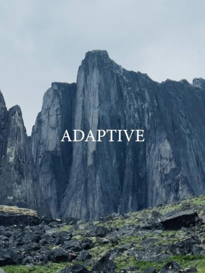 Adaptive