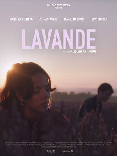 Lavande Poster