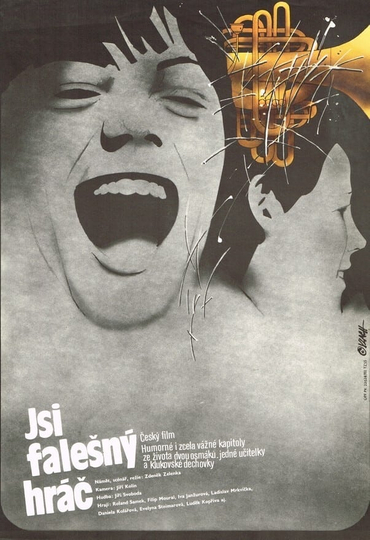 Jsi falešný hráč Poster