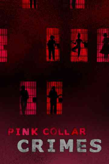 Pink Collar Crimes Poster