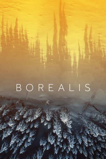 Borealis Poster